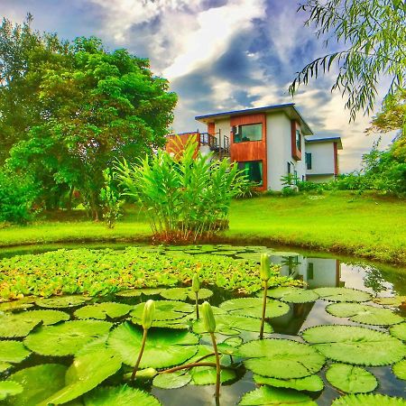 雲起軒民宿 Cloudscape B&B Ji'an Εξωτερικό φωτογραφία